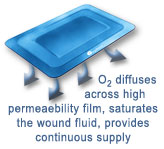 Oxygen diffuses across high permeability film, saturates the wound fluid, provides continuous supply of oxygen